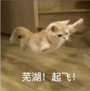 10.png